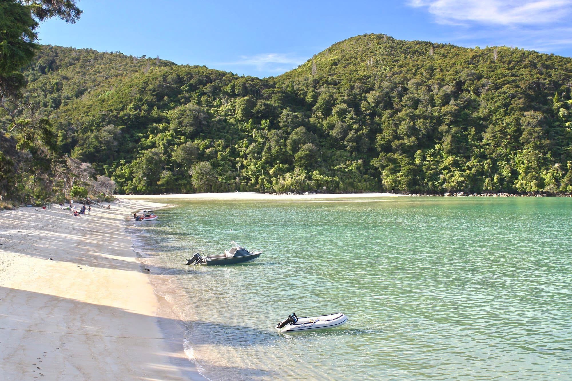 Bark Bay in Abel Tasman, a pale beach under bush-covered hills