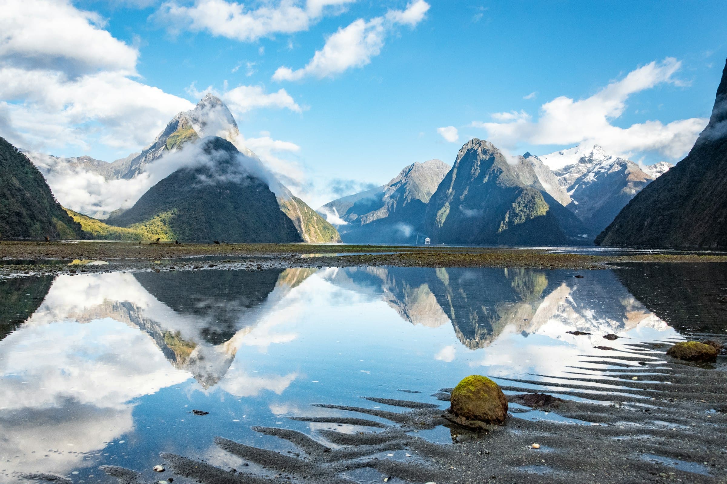 Milford Sound, with steep forested peaks reflected in still water