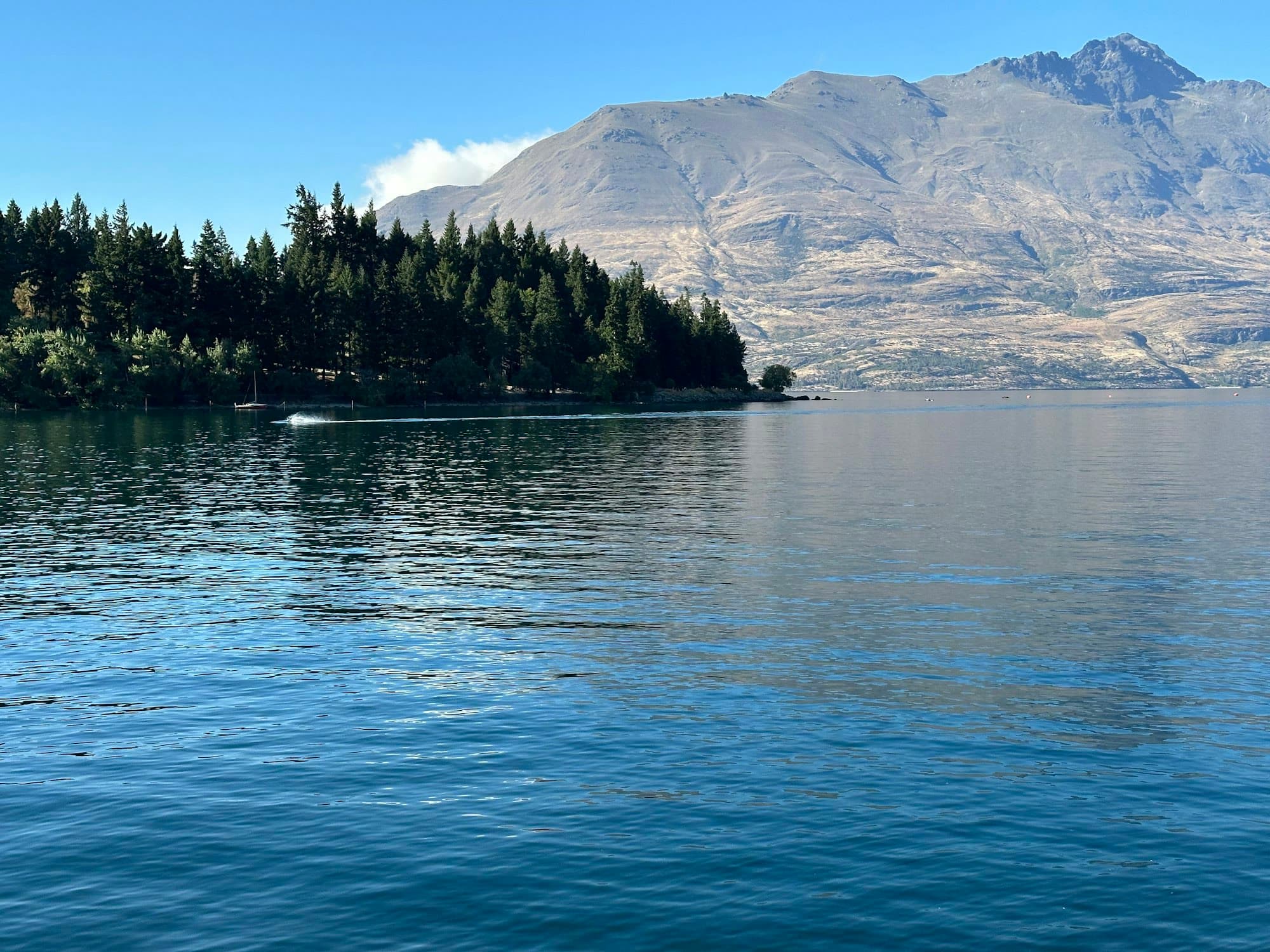Lake Wakatipu at Queenstown, with a forested shore and bare mountains