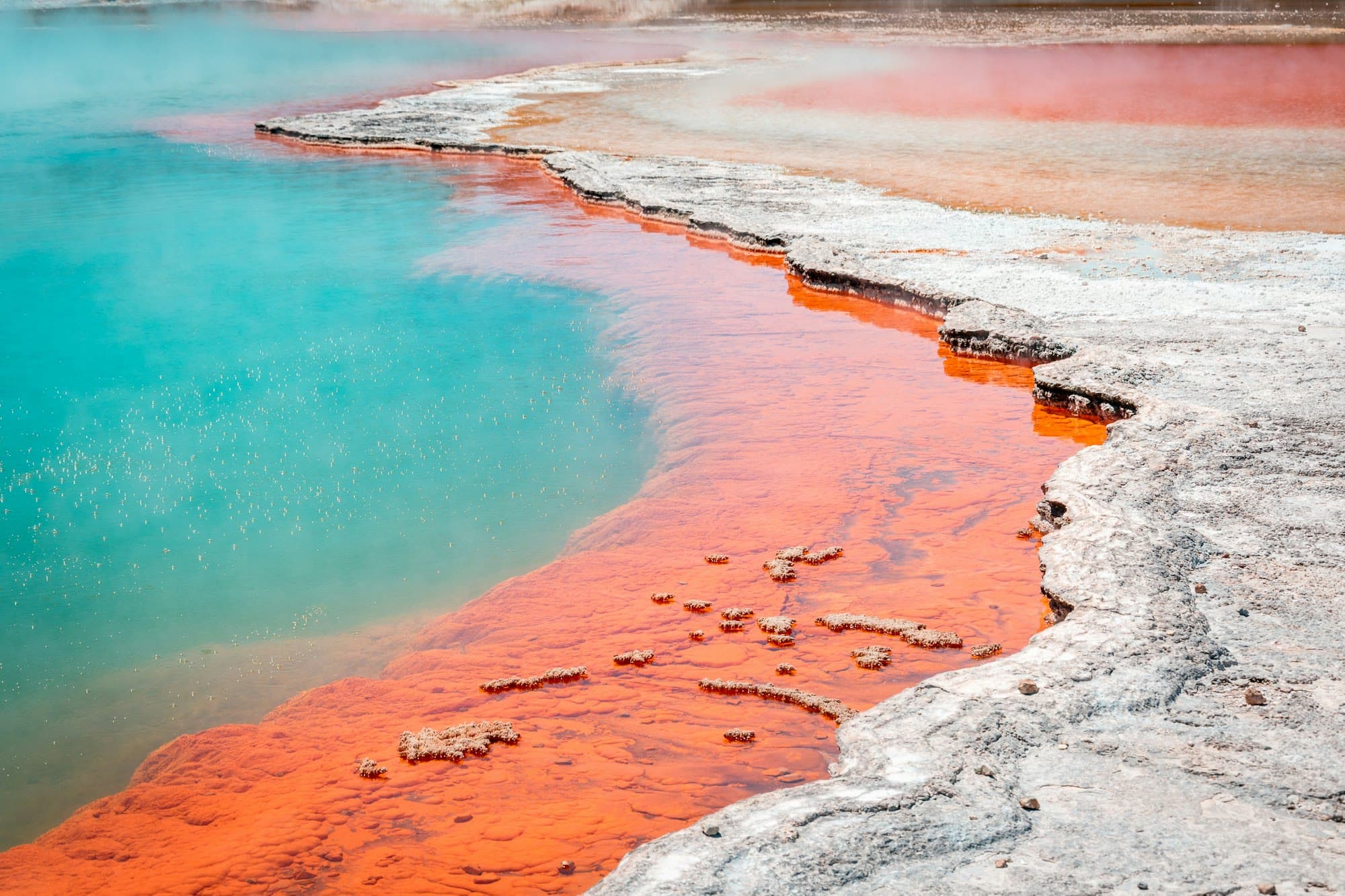 A thermal pool near Rotorua, turquoise beside an orange rim